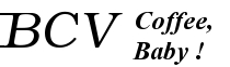 BCV Logo